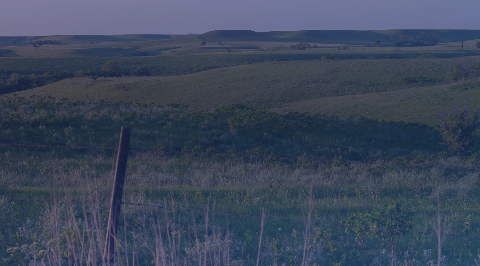 Rolling green Flint Hills prairie in Kansas with a weathered wooden fence post in the foreground