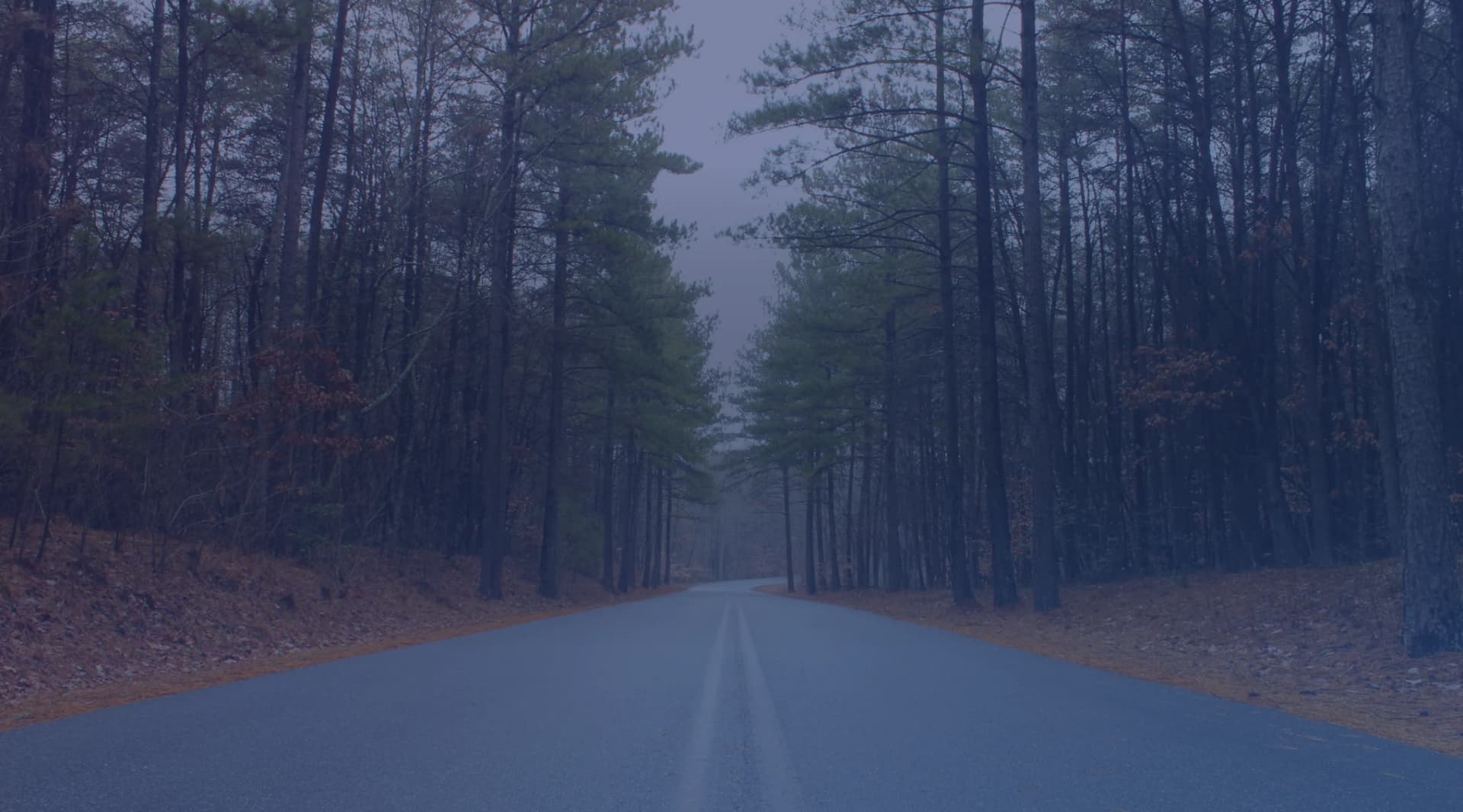 A quiet street of brick ranch homes lined with longleaf pines in a Fayetteville, North Carolina neighborhood