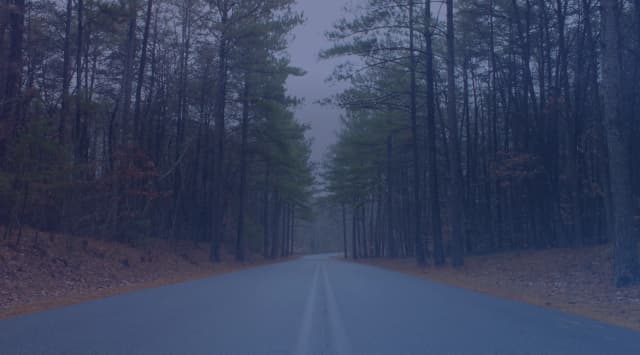 A quiet street of brick ranch homes lined with longleaf pines in a Fayetteville, North Carolina neighborhood