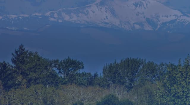 A snow-capped Cascade mountain rising above a line of evergreen trees and brush in western Washington