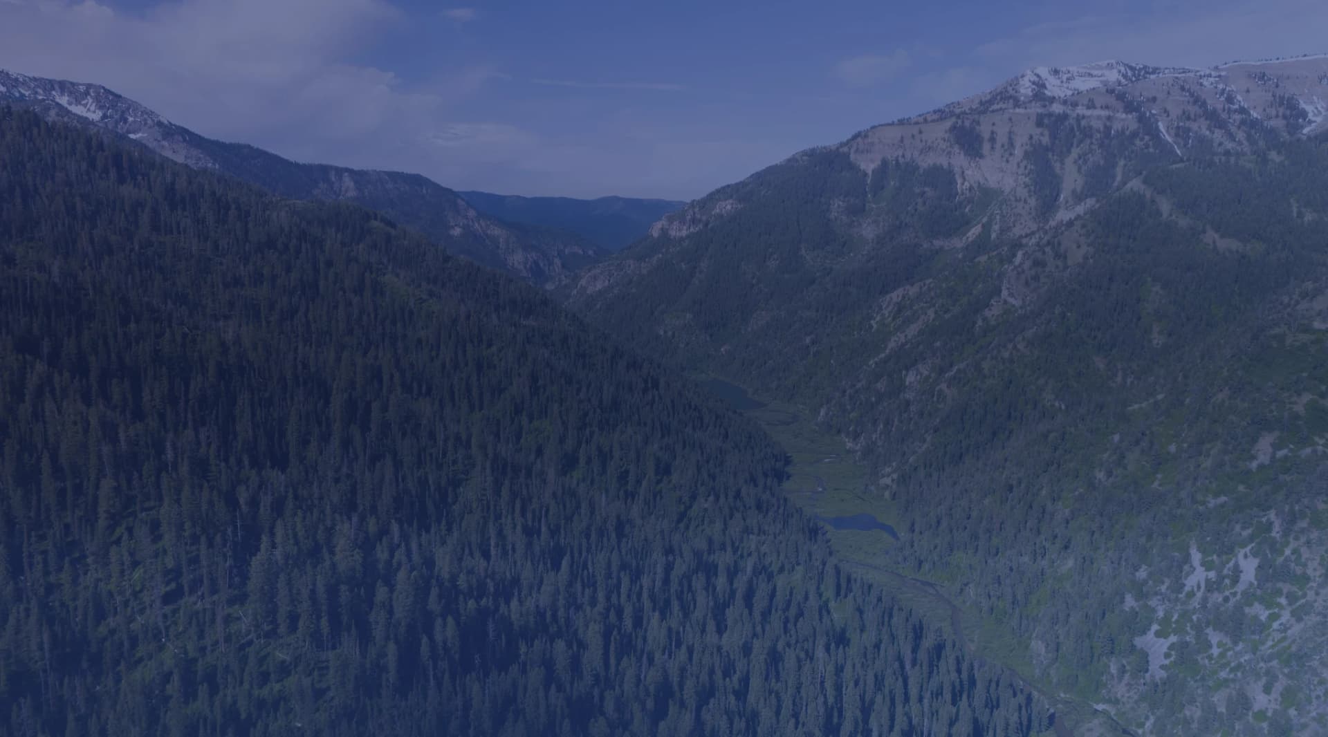 An aerial view of a forested mountain valley with evergreen slopes and snow-dusted peaks under a blue sky.