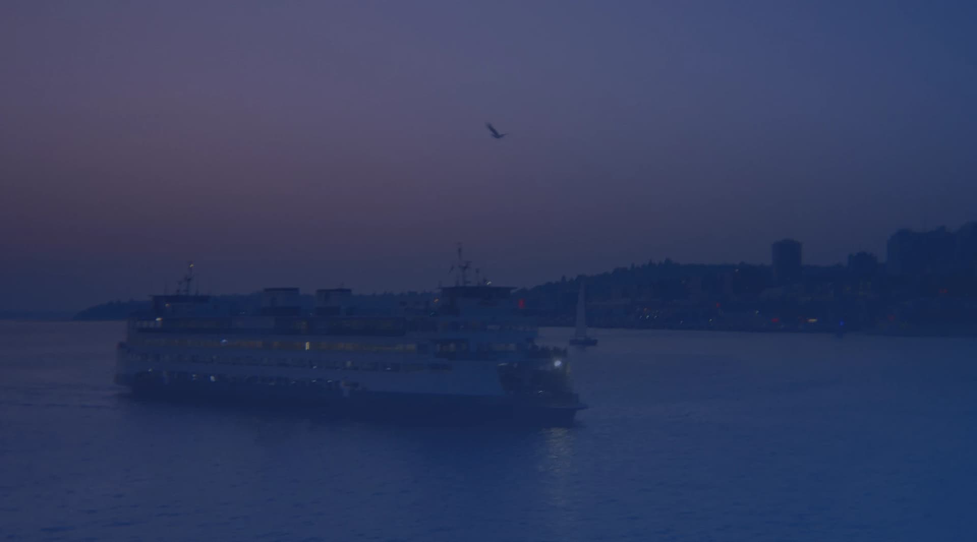 A large passenger ferry crossing calm water at dusk, with a hillside city skyline behind it