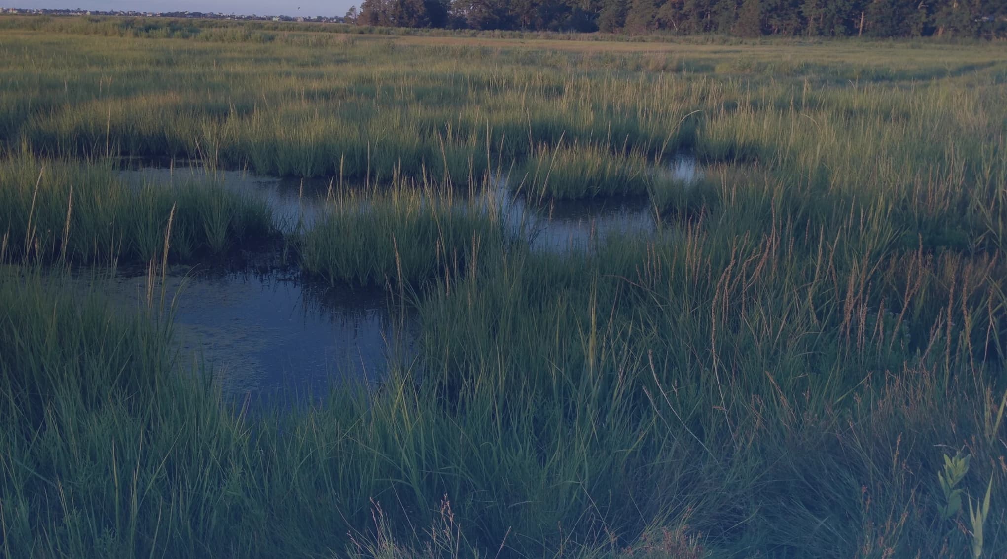 Tidal creeks and salt marsh grass under a wide sky in the South Carolina Lowcountry, similar to the landscape surrounding MCAS Beaufort