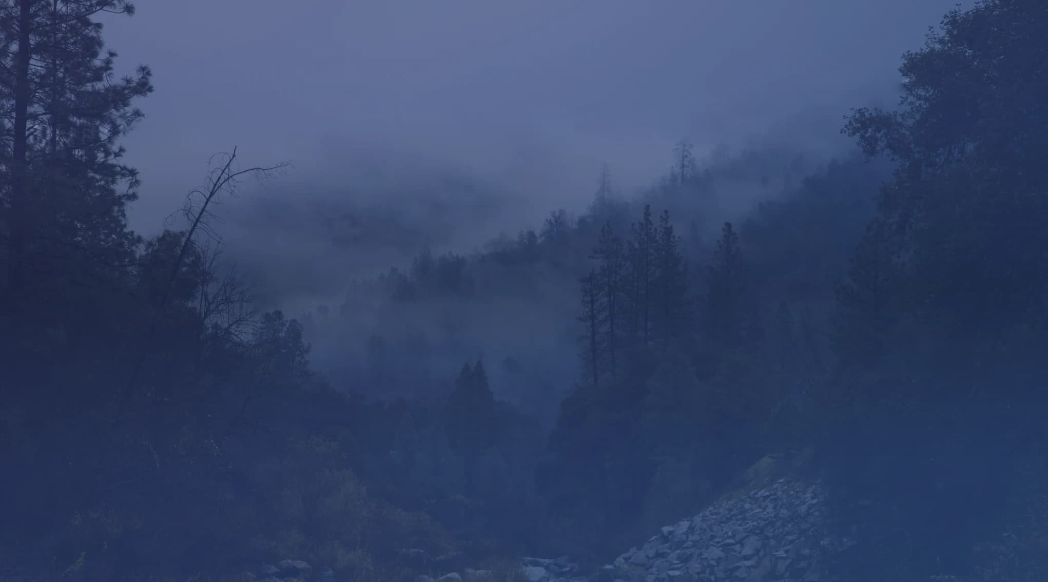 A misty, forested river valley in the wooded country near Marine Corps Base Quantico in Northern Virginia.