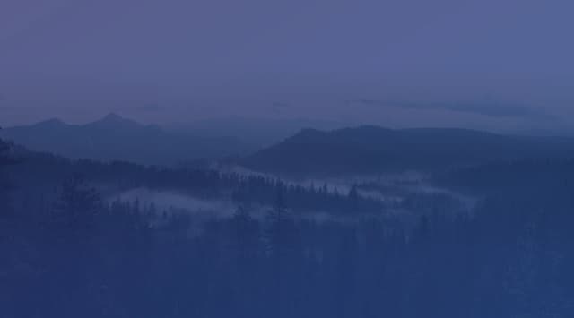 Forested ridges of evergreen trees with low mist drifting through a valley and distant mountains fading into haze.