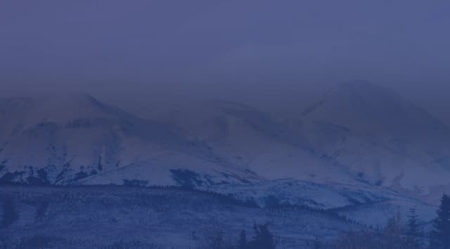 Snow-covered mountains rise behind a foreground of low scrub and scattered evergreens, with a few gold autumn trees, under a pale overcast sky.