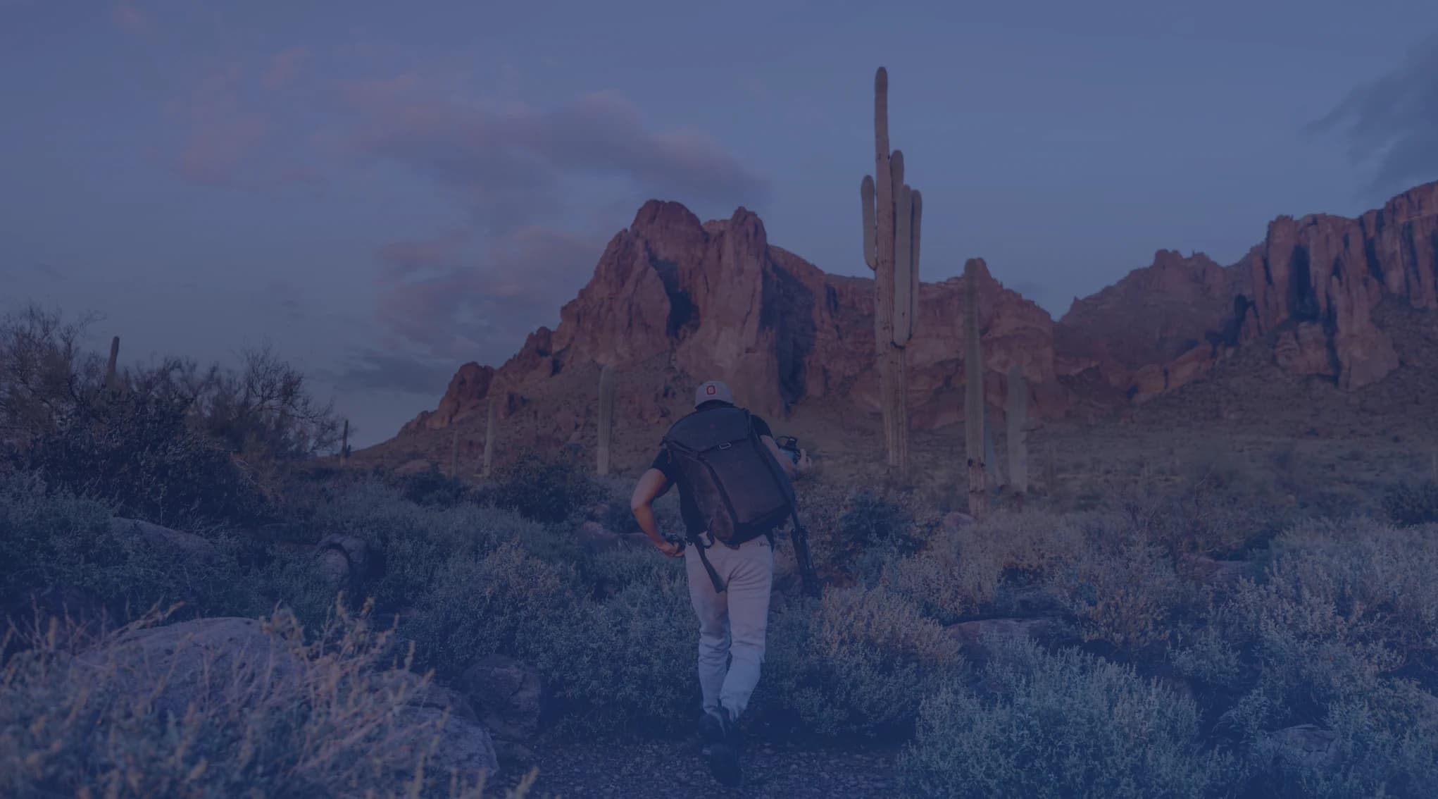 A hiker walks a desert trail toward red rock mountains past tall saguaro cactuses at golden hour.