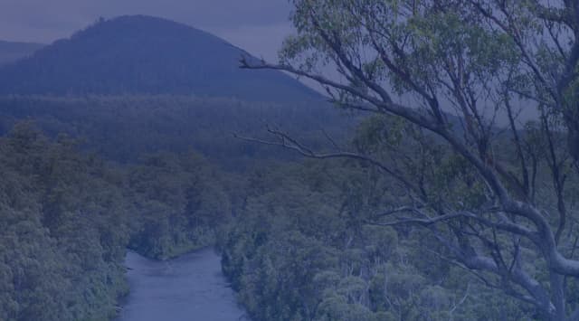 A river winds through a densely forested valley with a tree-covered hill rising in the background under an overcast sky.