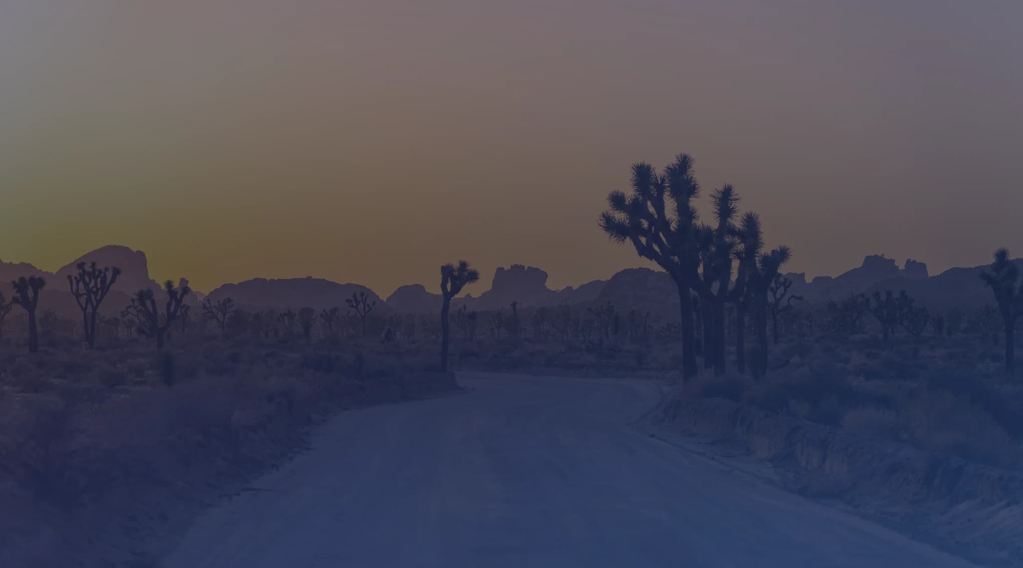 A dirt road curving through Joshua trees and desert rock formations in the California high desert at dusk