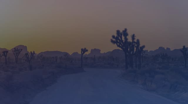 A dirt road curving through Joshua trees and desert rock formations in the California high desert at dusk
