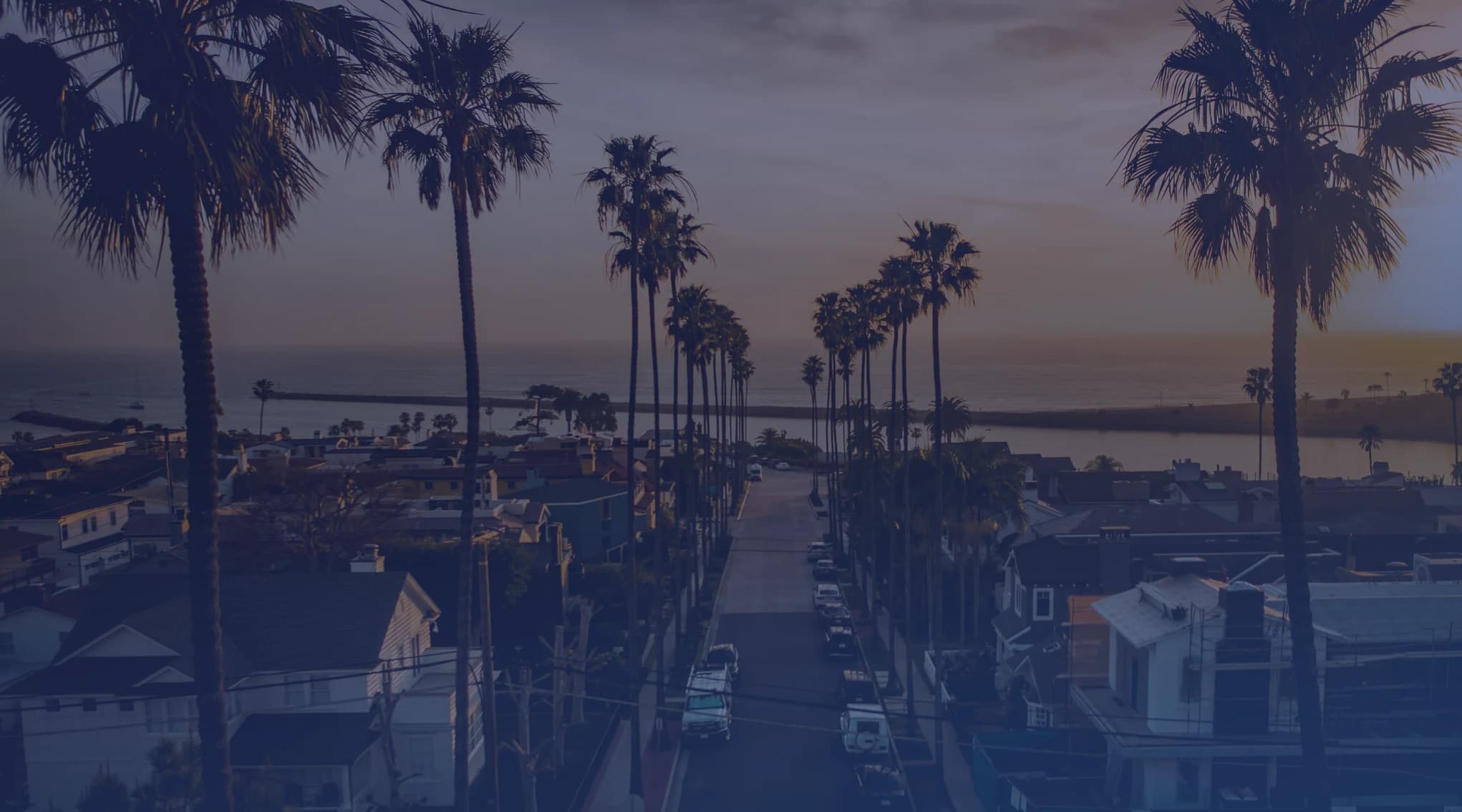 A palm-lined street of single-family homes running down toward the water at dusk in a coastal Florida neighborhood