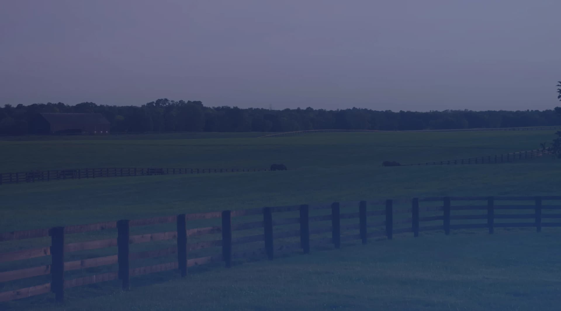Dark wooden horse fences crossing a wide green pasture with a barn and tree line in the distance at dusk