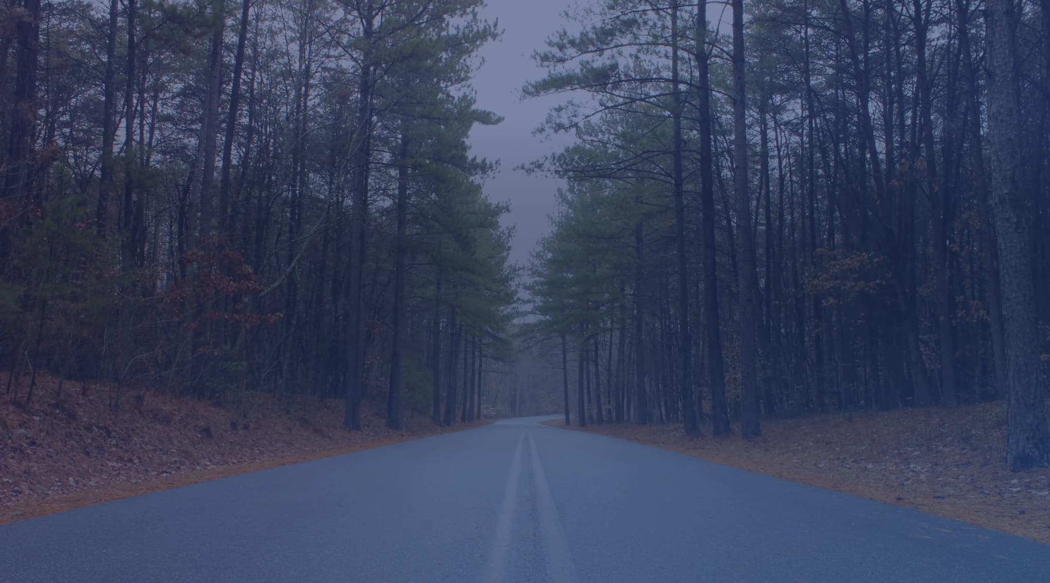 A quiet street of brick ranch homes lined with longleaf pines in a Fayetteville, North Carolina neighborhood