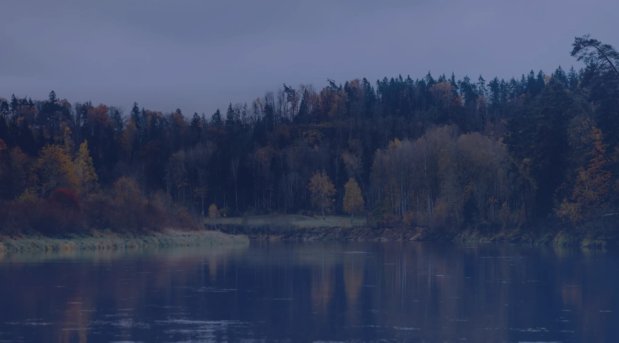 A calm river reflects a forested far bank dotted with autumn color under a soft, overcast sky.