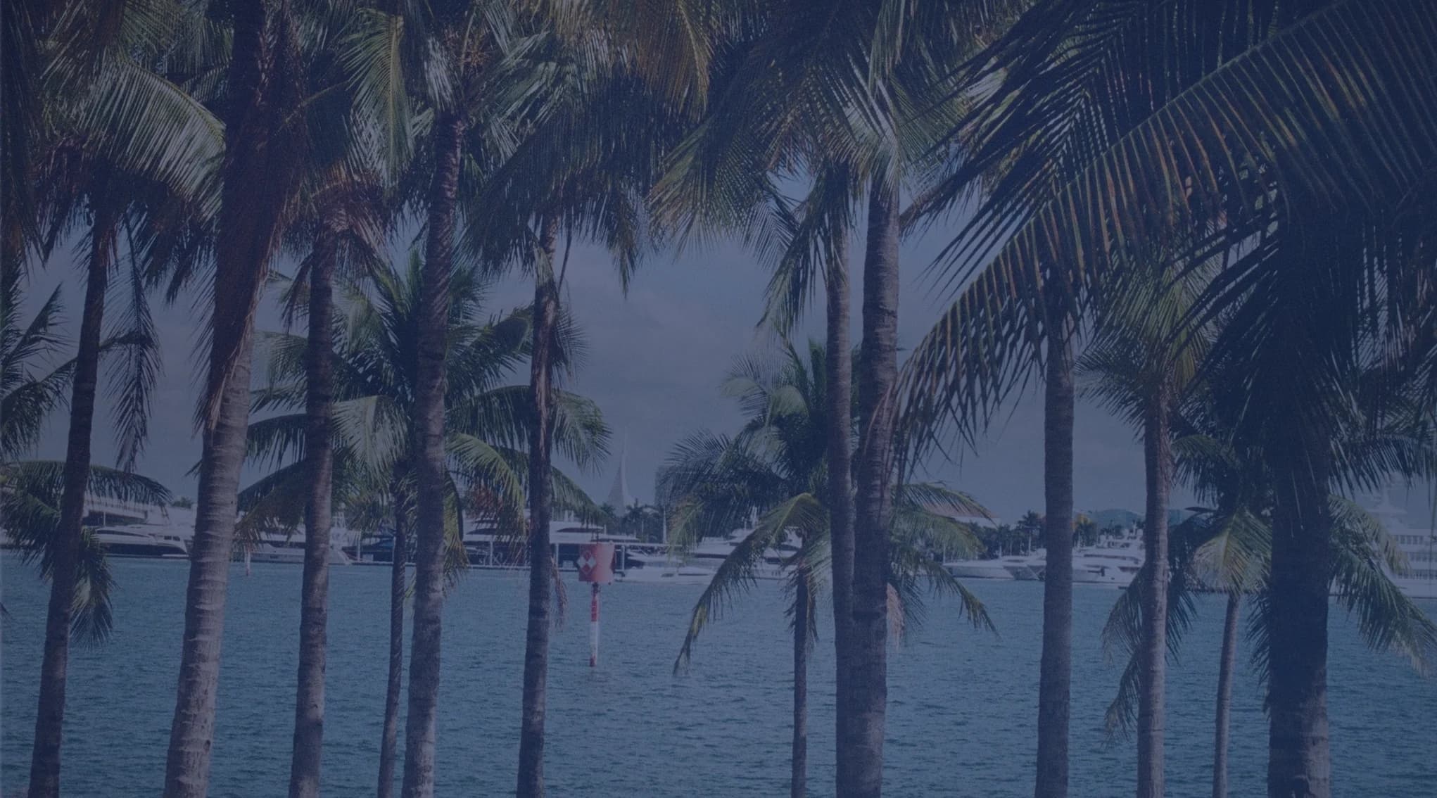 Palm trees lining a waterfront promenade with boats moored across the water in Florida.