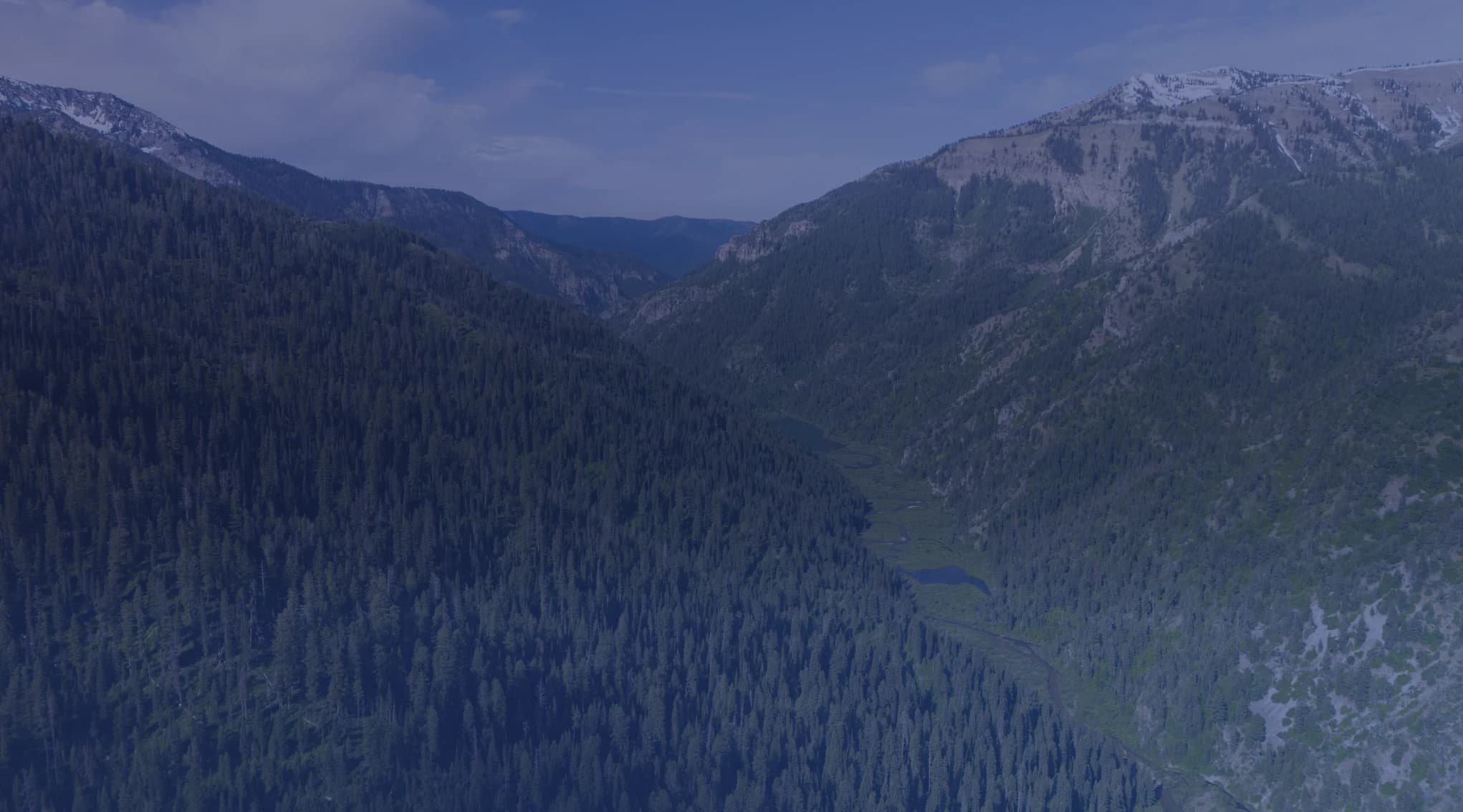 An aerial view of a forested mountain valley with evergreen slopes and snow-dusted peaks under a blue sky.
