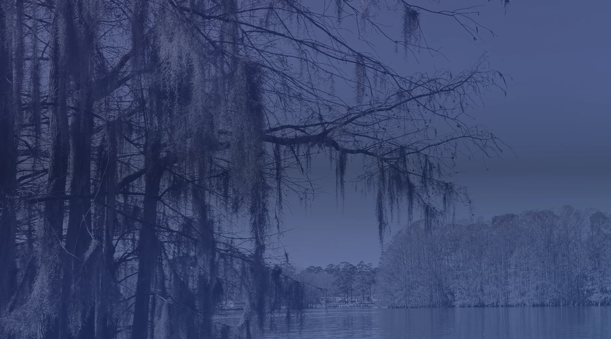 Bare cypress branches draped in Spanish moss hang over calm, still water with a distant tree line.