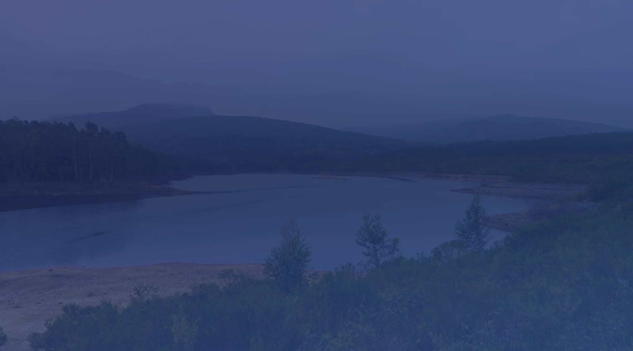 A calm lake ringed by forested hills under a soft, overcast sky, with green brush in the foreground.