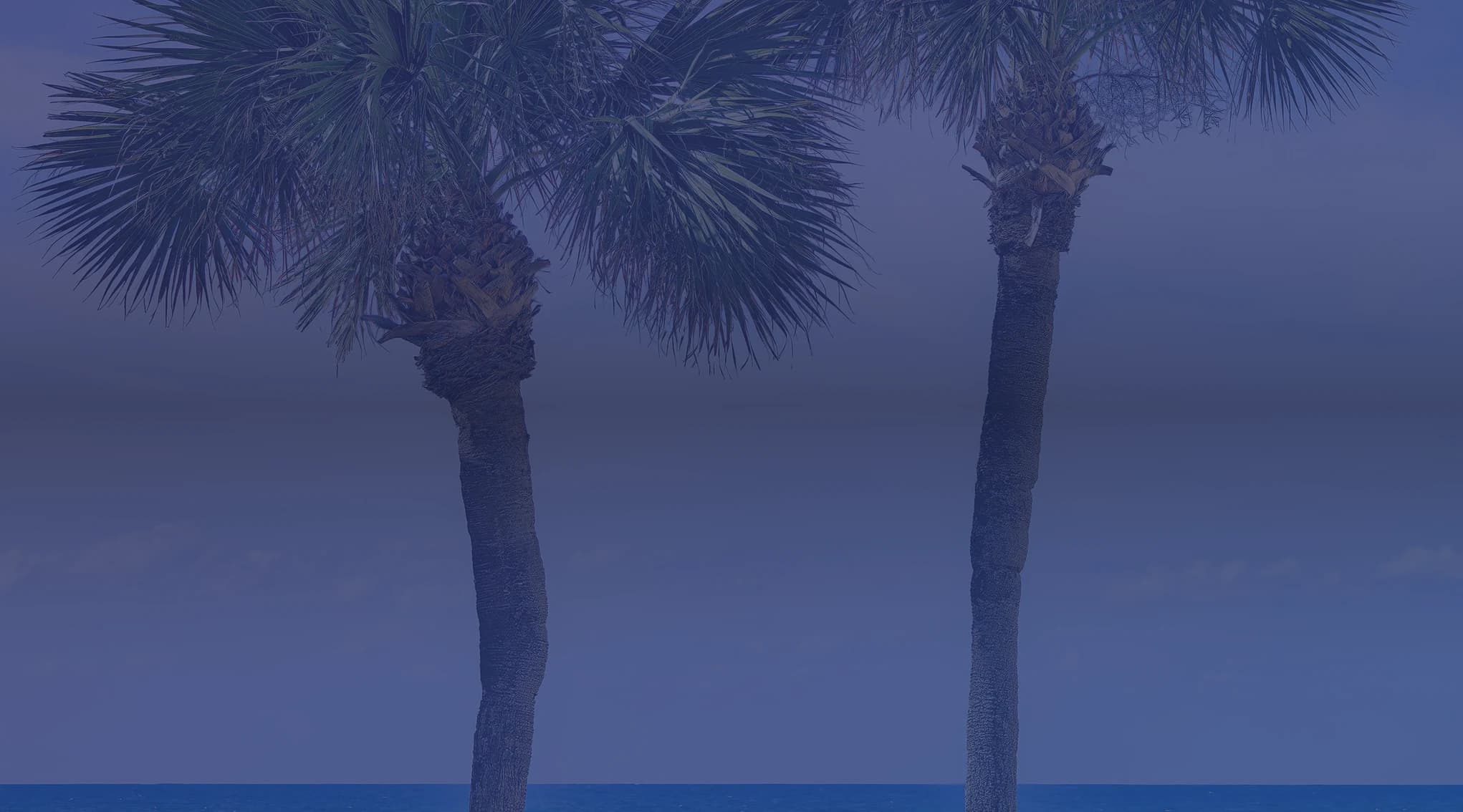 Two tall palm trees stand on a sandy beach above turquoise water under a bright blue sky.