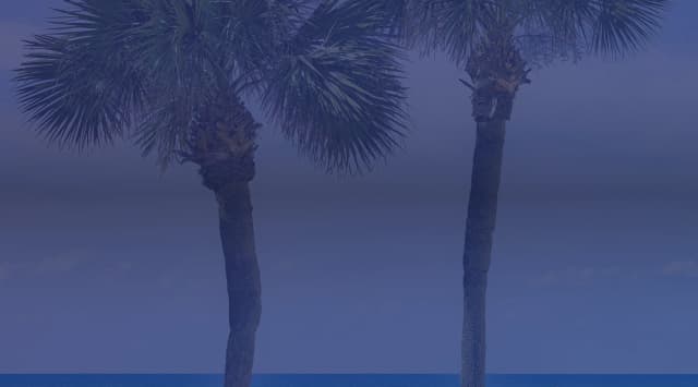 Two tall palm trees stand on a sandy beach above turquoise water under a bright blue sky.