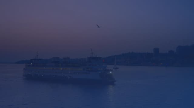 A large passenger ferry crossing calm water at dusk, with a hillside city skyline behind it