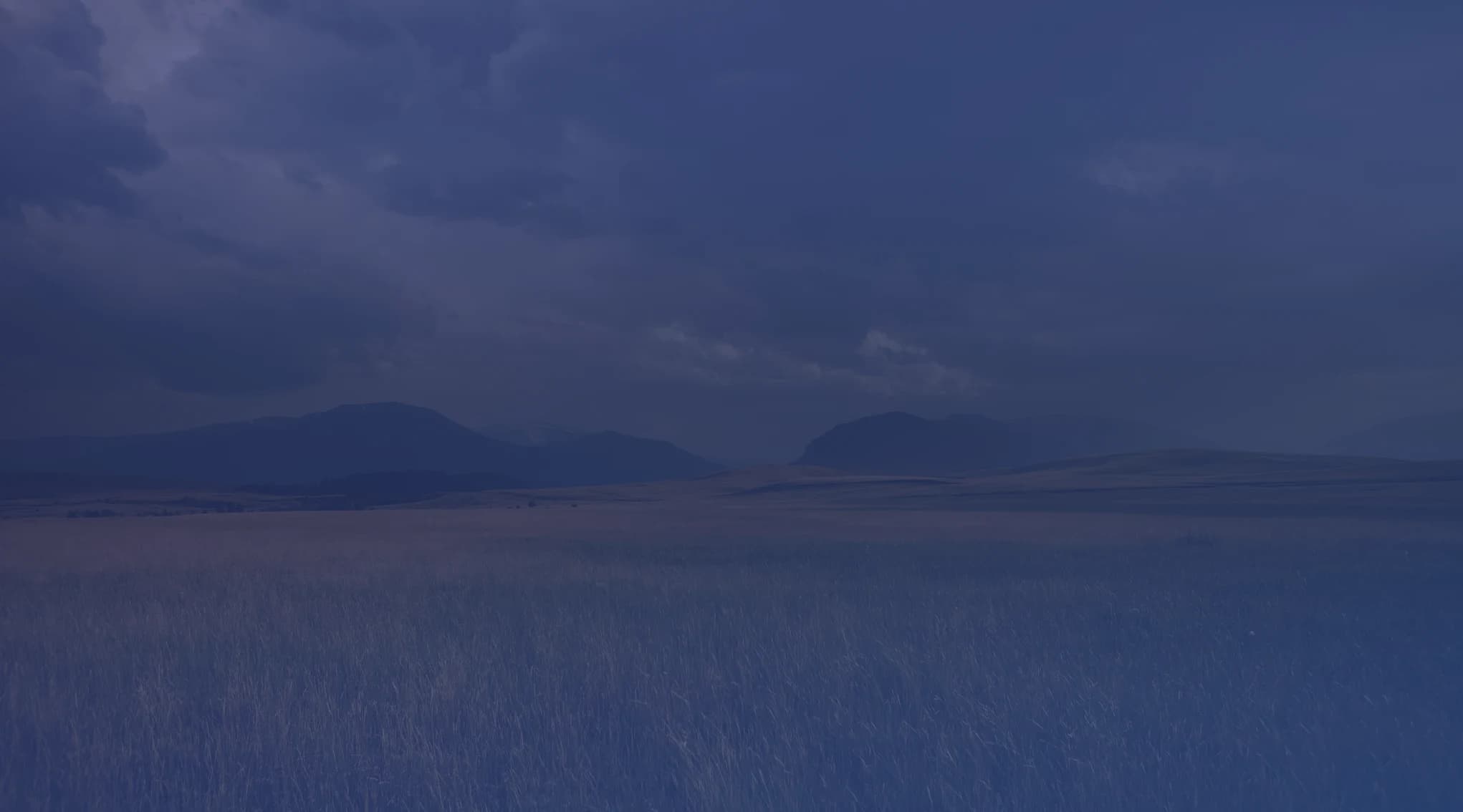 A golden prairie of tall grass stretches toward distant low mountains under a broad, cloud-filled sky.