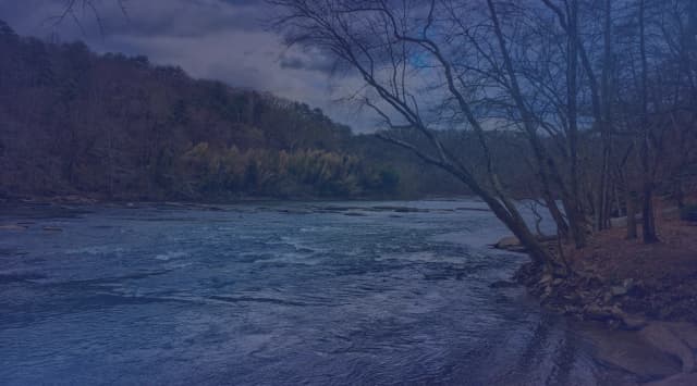 A rocky Georgia river with wooded banks under a cloudy sky, like the Savannah River near Augusta