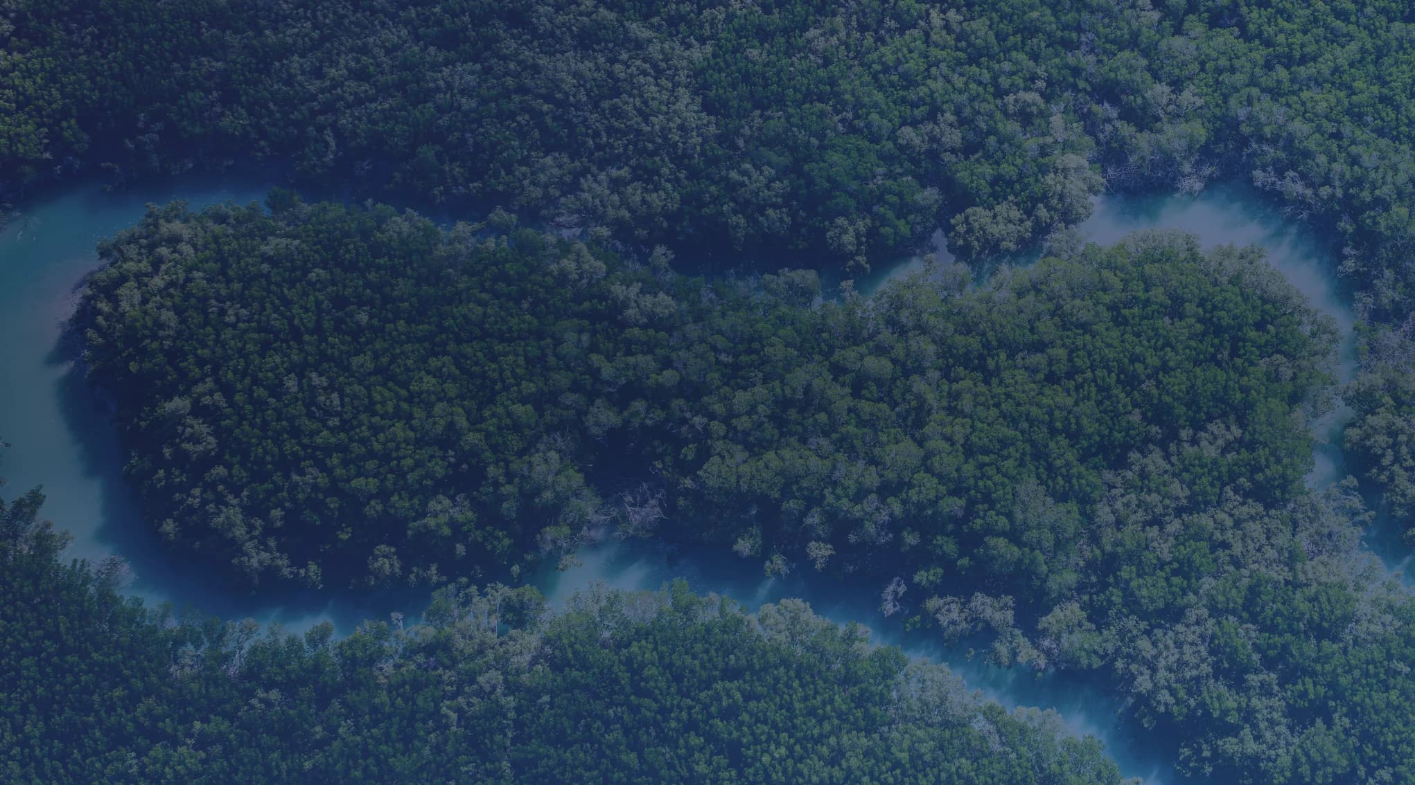 An aerial view of a winding river through dense green bottomland forest, like the wooded river country of the South Carolina midlands near Columbia and Fort Jackson.