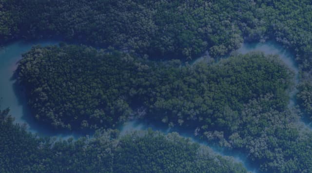 An aerial view of a winding river through dense green bottomland forest, like the wooded river country of the South Carolina midlands near Columbia and Fort Jackson.