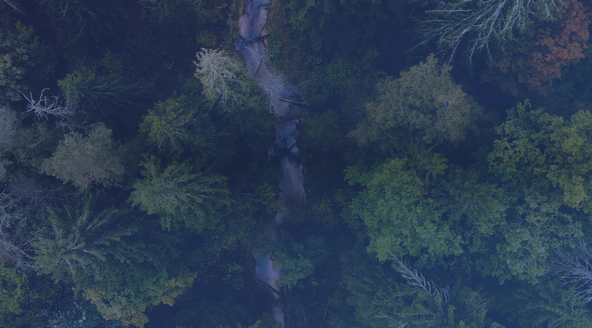 An aerial view of a small river winding through dense green forest, like the wooded Ozark country around Fort Leonard Wood, Missouri.