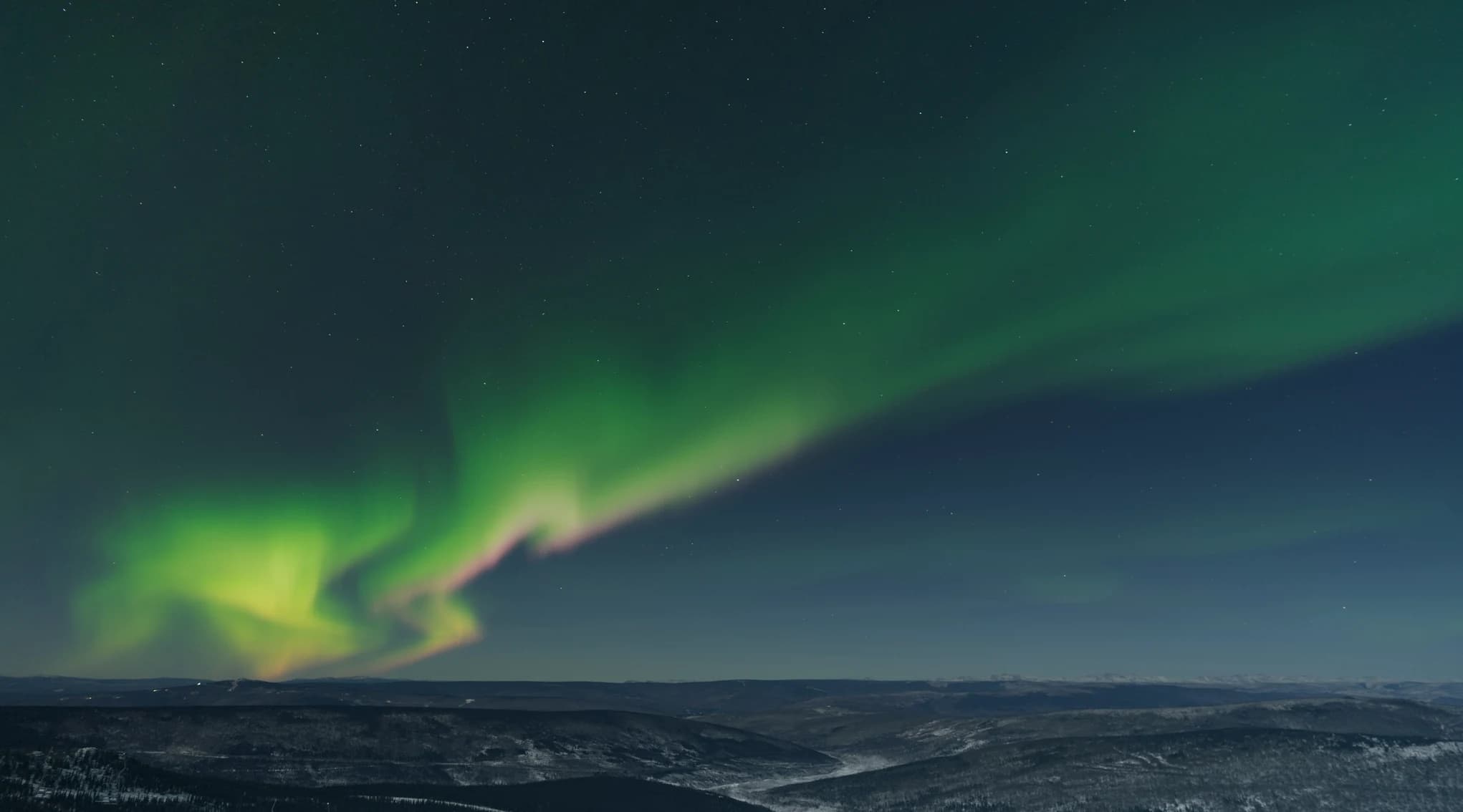 Green aurora borealis rippling over a dark boreal spruce forest near Fairbanks, Alaska, shot from Cleary Summit Aurora Viewing Area