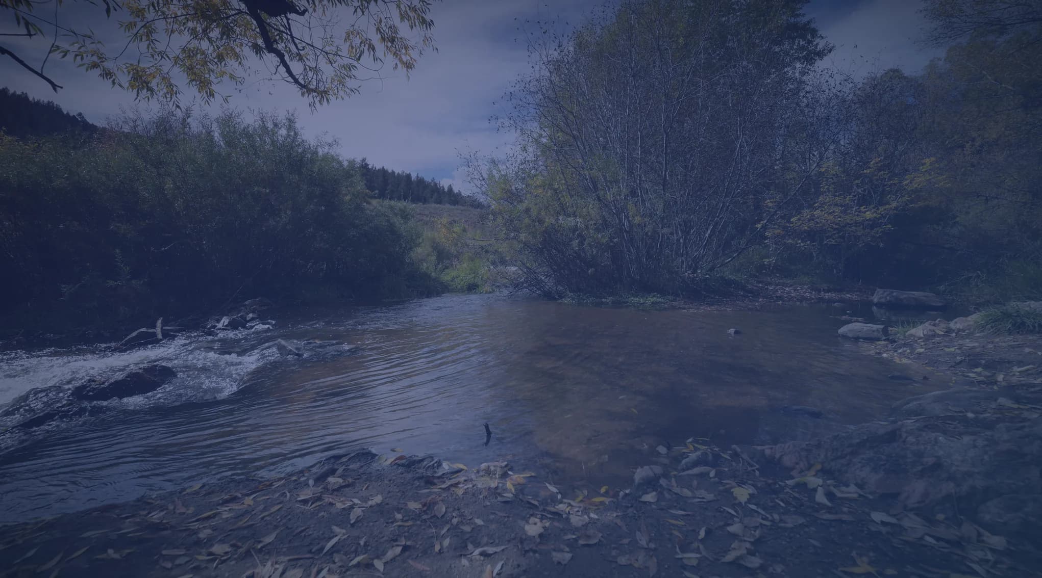 A calm river flowing past wooded banks with early-fall foliage.