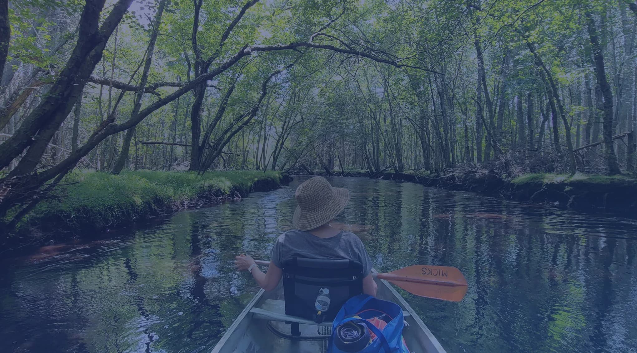 A person paddling a canoe down the tea-colored Wading River through the cedar forest of the New Jersey Pine Barrens