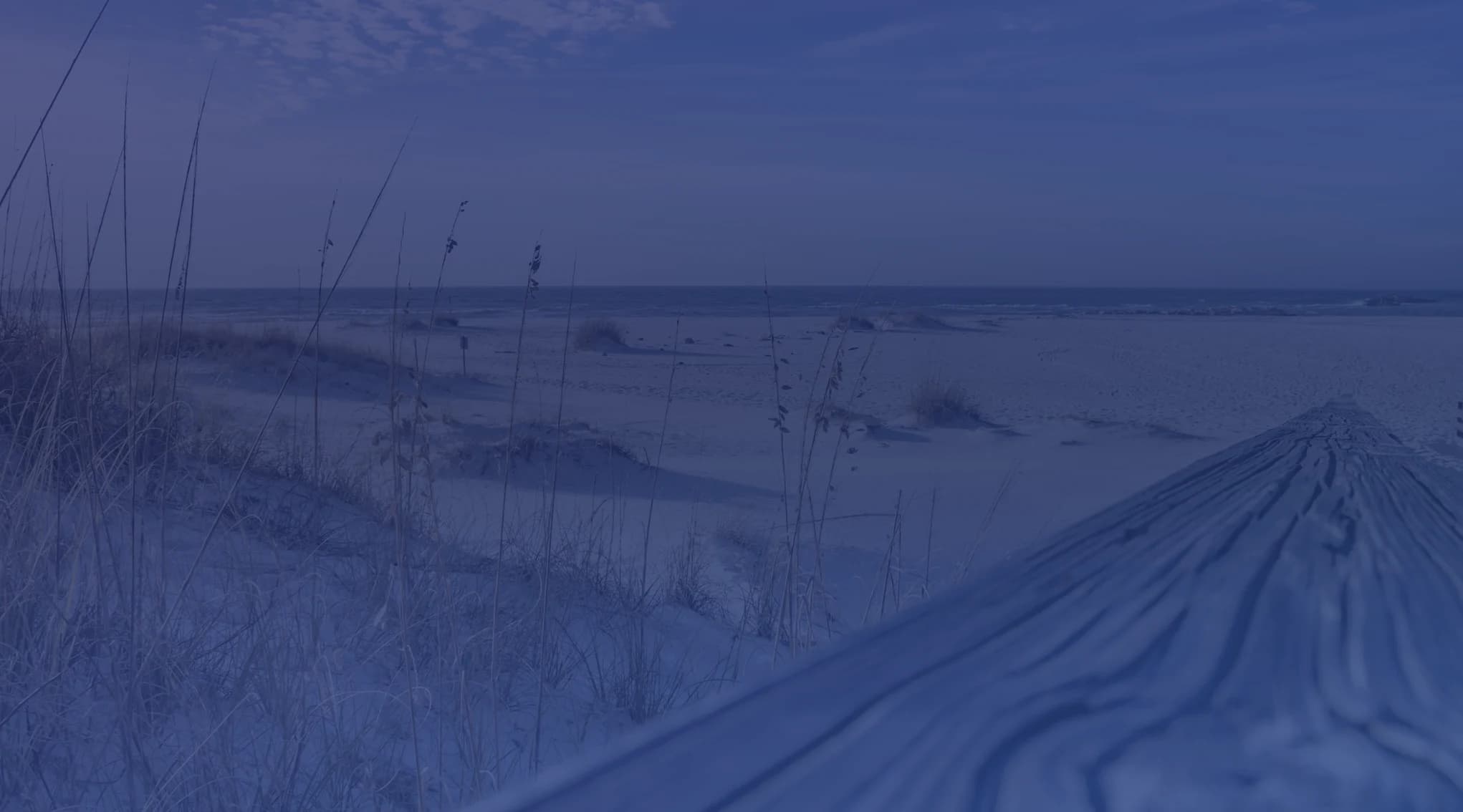 White sand beach with sea oats and driftwood on the Mississippi Gulf Coast near Biloxi