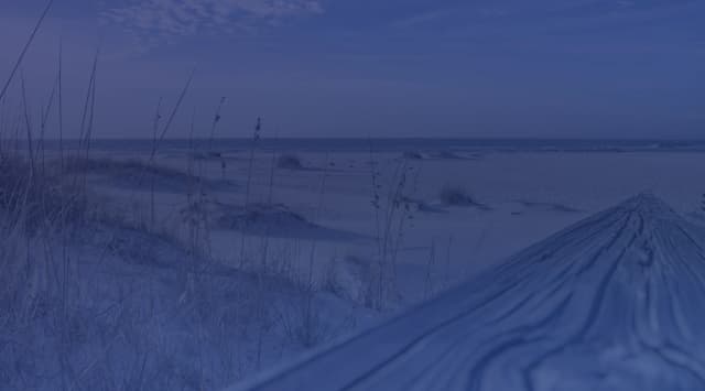 White sand beach with sea oats and driftwood on the Mississippi Gulf Coast near Biloxi