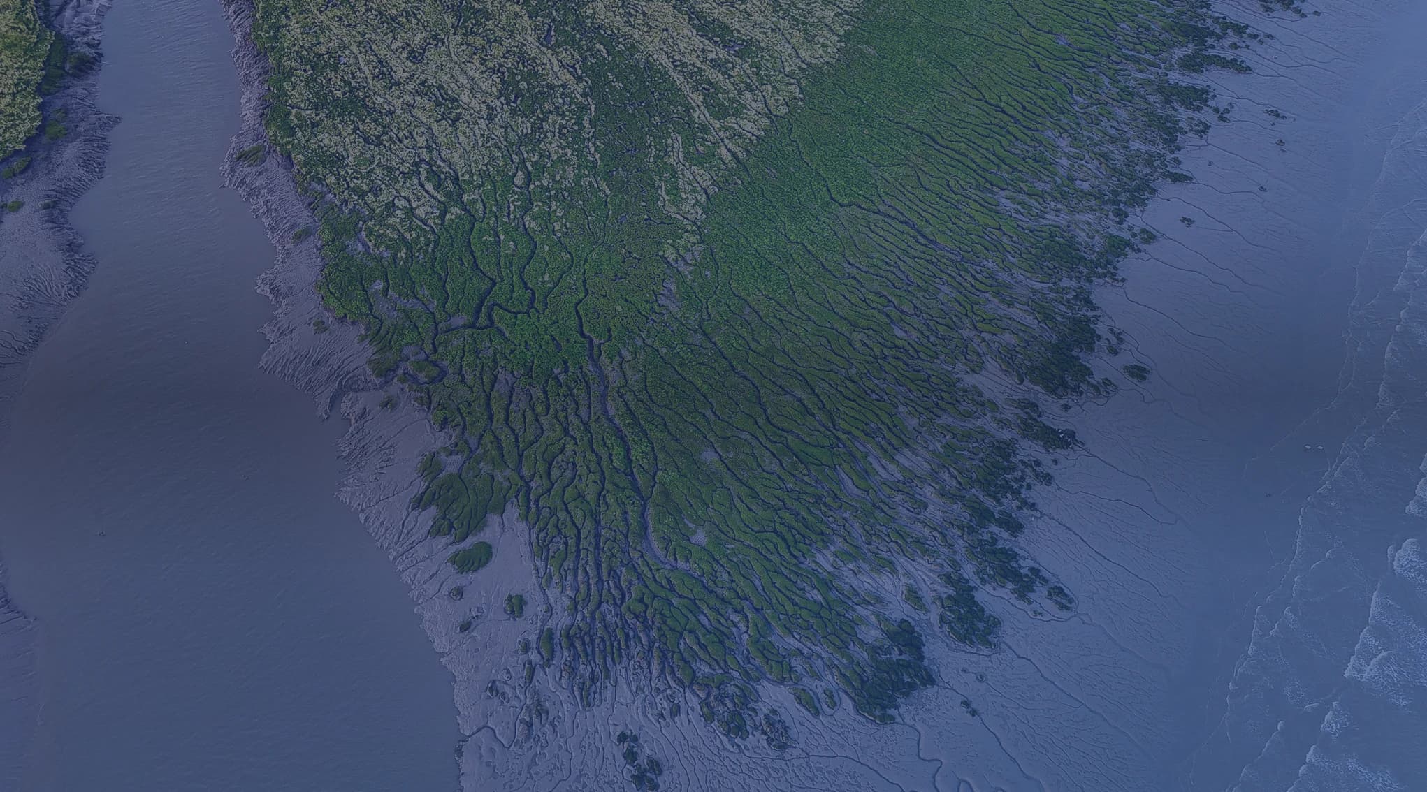 An aerial view of a green coastal salt marsh cut by winding tidal channels, like the South Carolina Lowcountry near Beaufort and Parris Island.