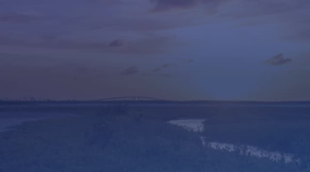 Coastal sunset over Mustang Island and Corpus Christi Bay, with a bridge silhouetted against a warm orange sky and Gulf Coast wetland vegetation in the foreground