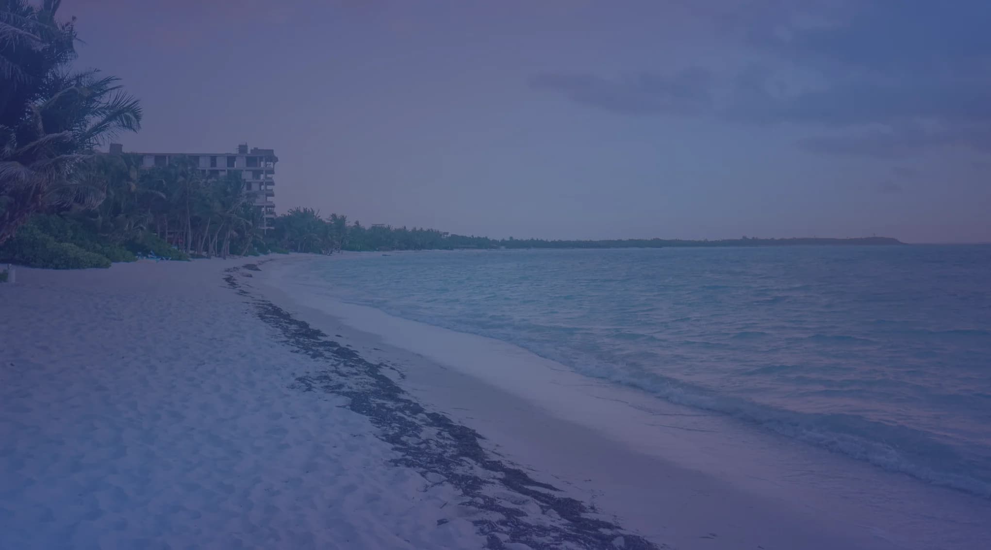 A quiet white-sand Gulf Coast beach at dawn, with calm turquoise water and palms along the shore.