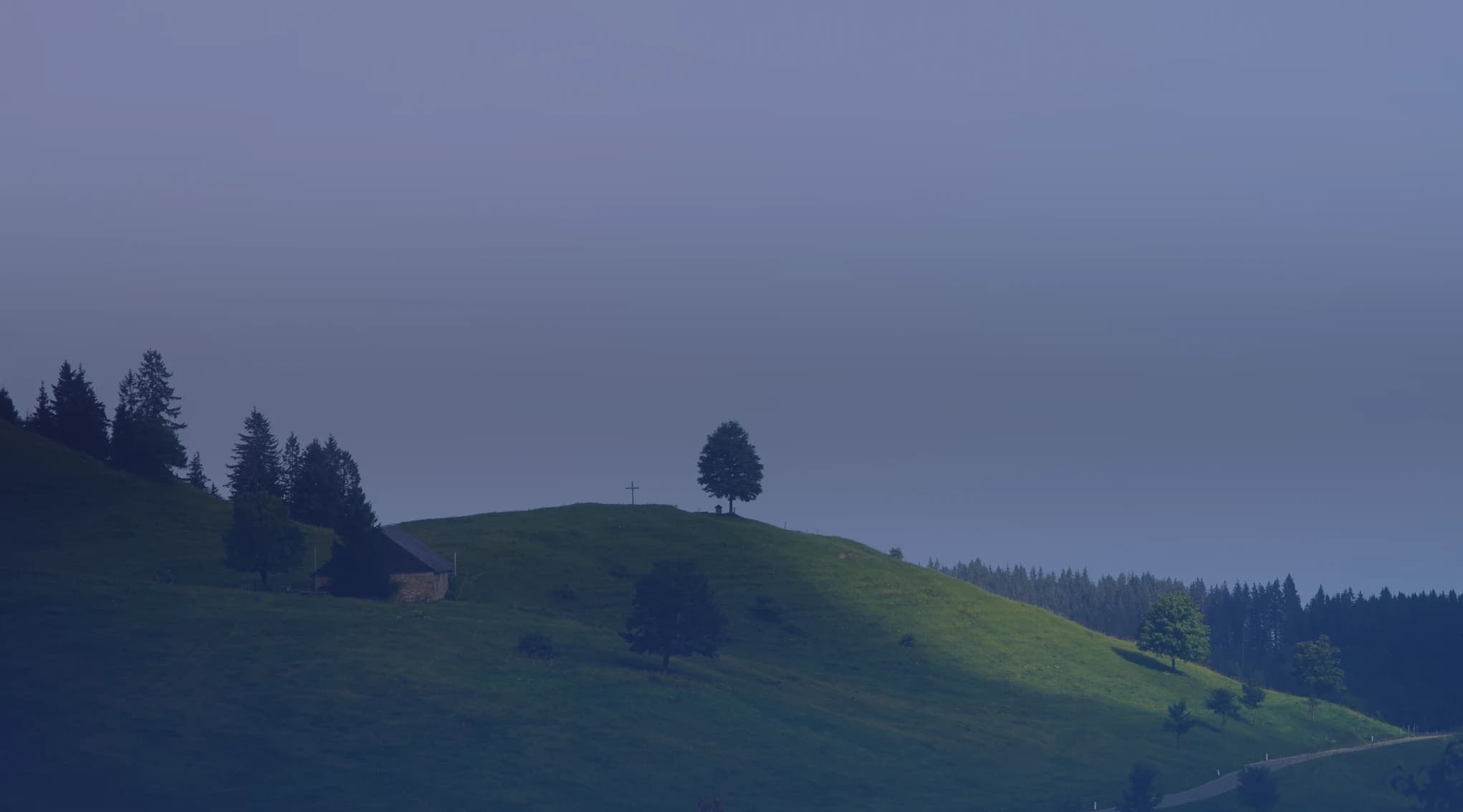 Green rolling hills with a tree on the crest, like the open hill country of inland Solano County near Travis Air Force Base.