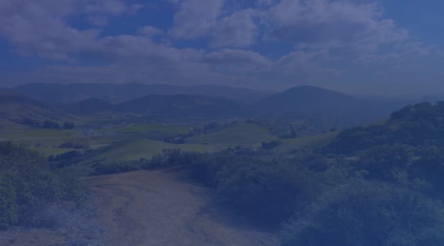 A dirt road winding through rolling green hills on the Central Coast of California, near the Lompoc valley and Vandenberg Space Force Base