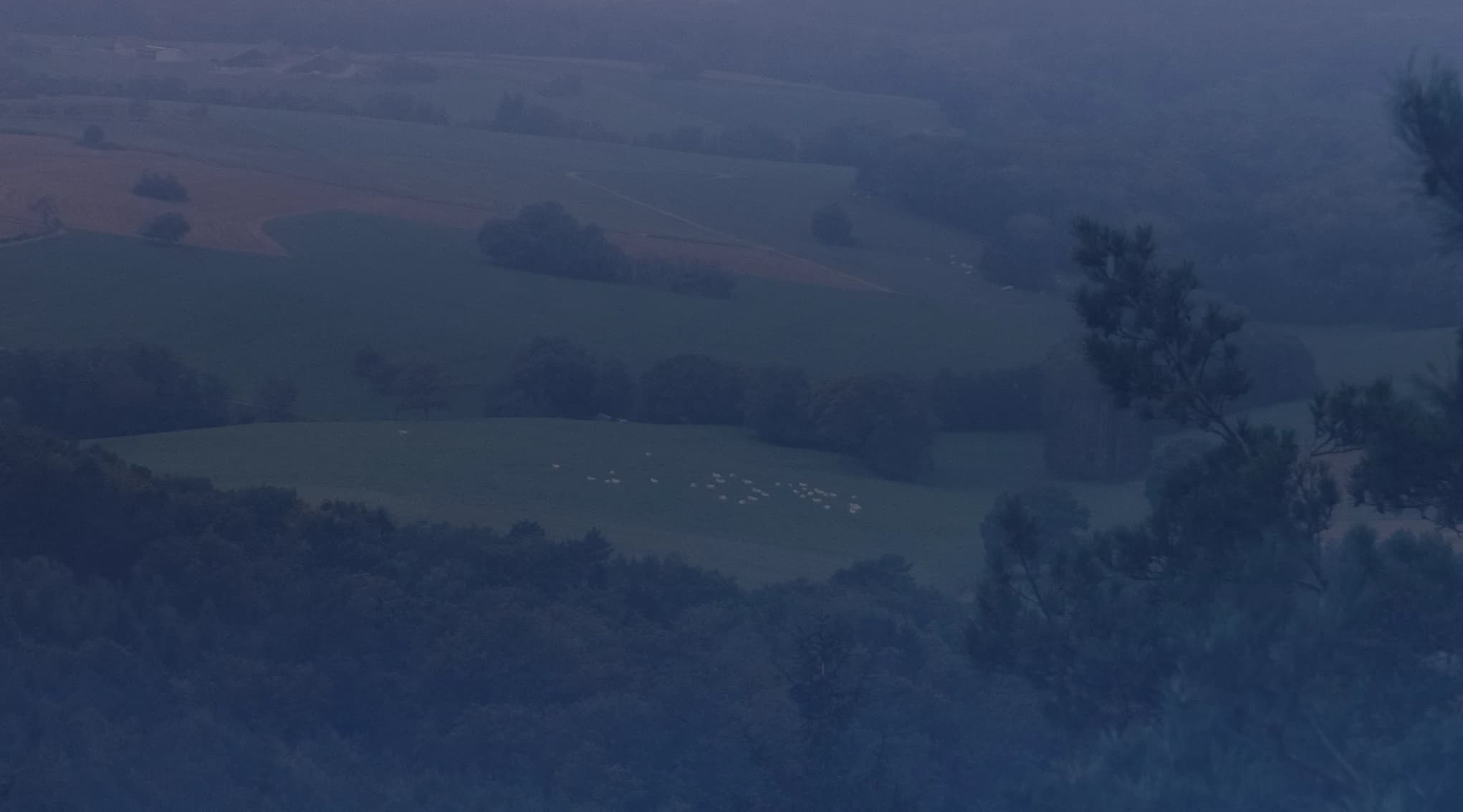 A misty view over forested hills and green farm fields under a soft, hazy sky.