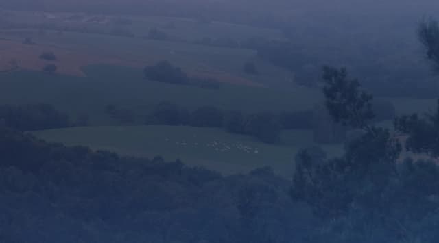 A misty view over forested hills and green farm fields under a soft, hazy sky.