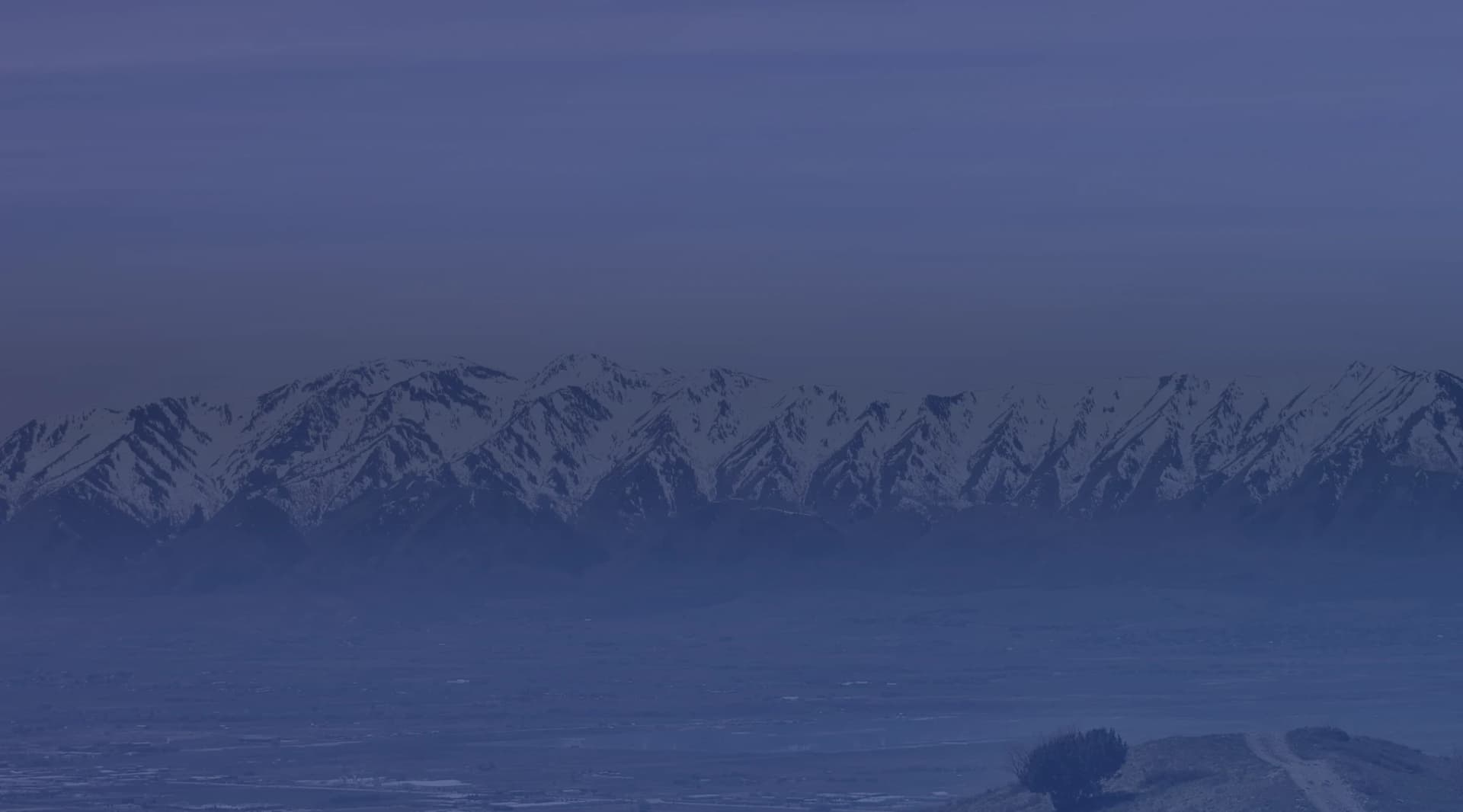 A long, snow-capped mountain range rises beyond a broad valley, with a grassy hillside and a lone shrub in the foreground under a pale sky.