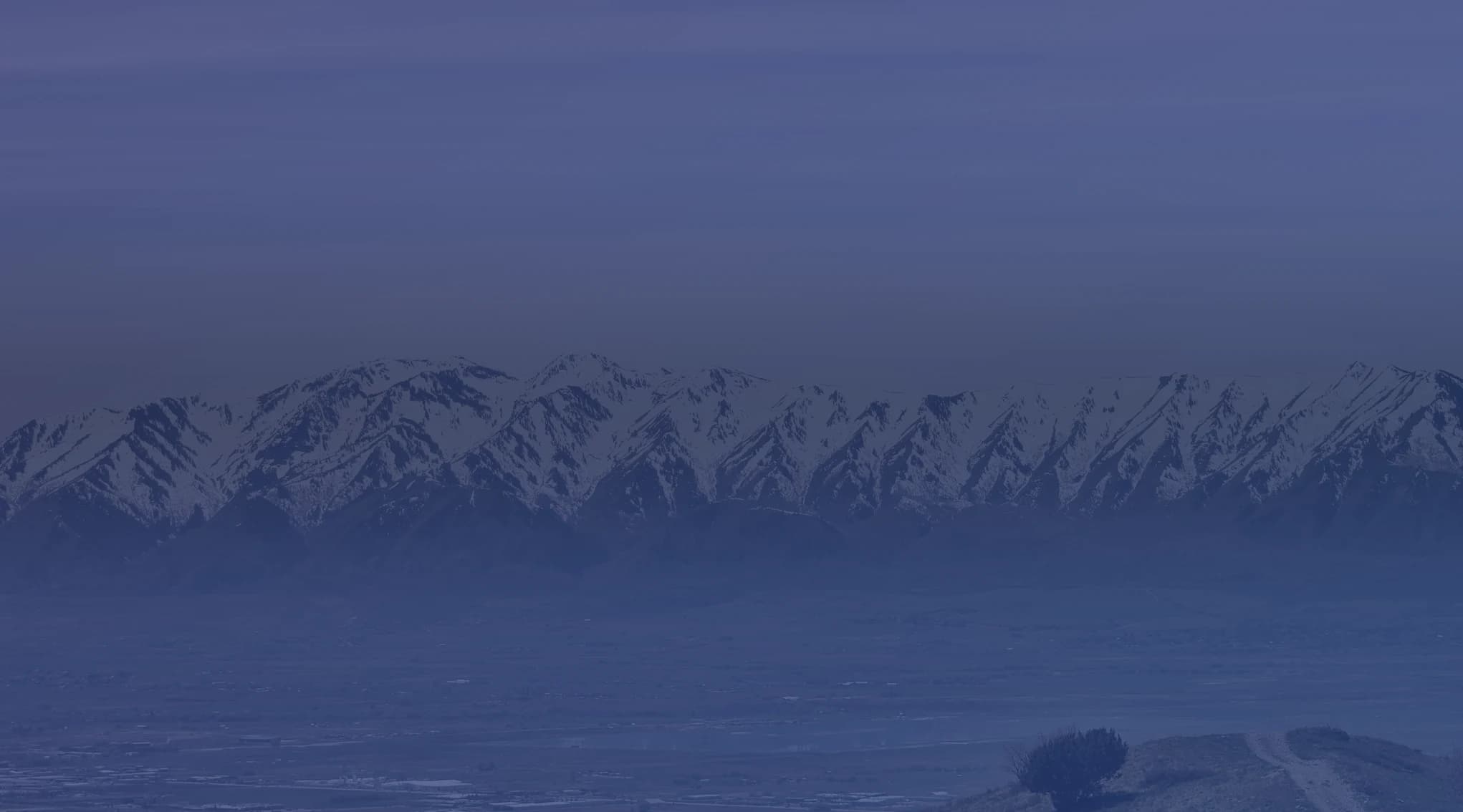 A long, snow-capped mountain range rises beyond a broad valley, with a grassy hillside and a lone shrub in the foreground under a pale sky.
