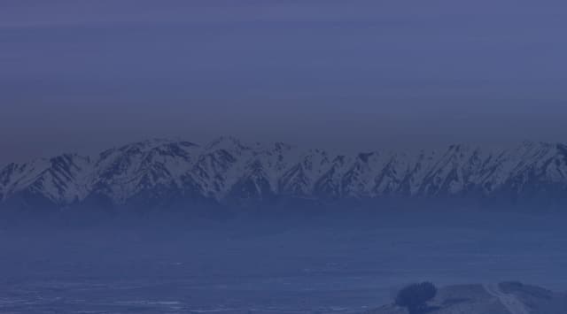 A long, snow-capped mountain range rises beyond a broad valley, with a grassy hillside and a lone shrub in the foreground under a pale sky.