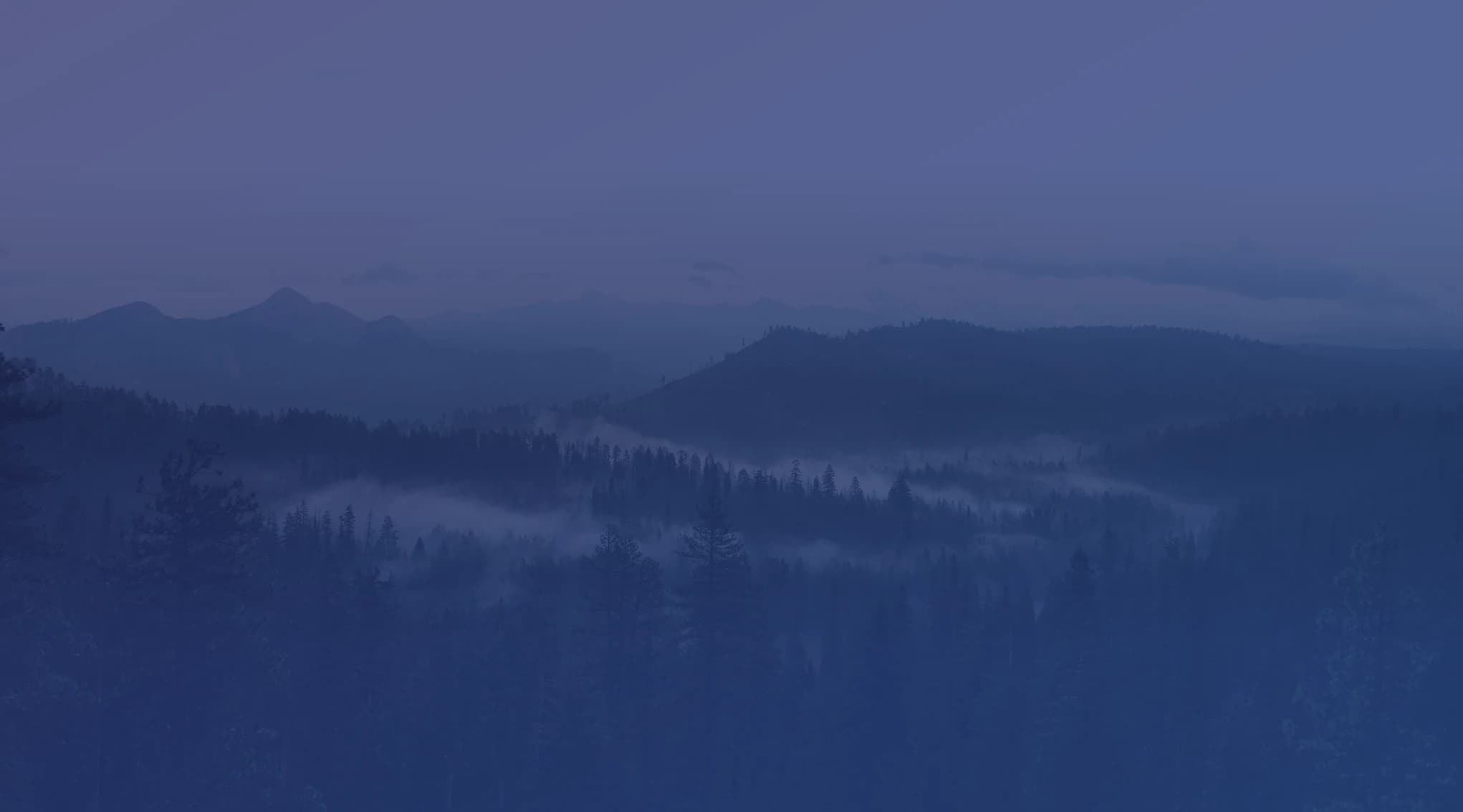 Forested ridges of evergreen trees with low mist drifting through a valley and distant mountains fading into haze.